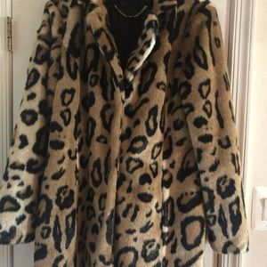 Bebe Cheetah Cost LG